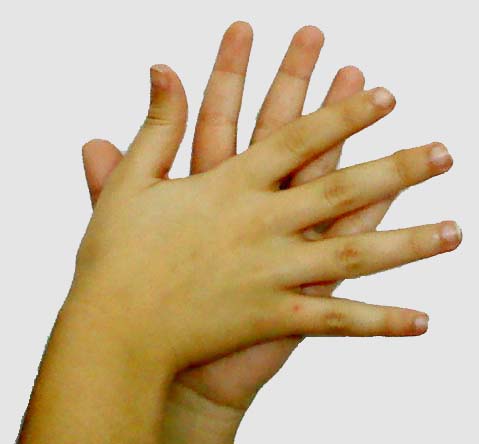 La lengua de signos española se habla con las manos